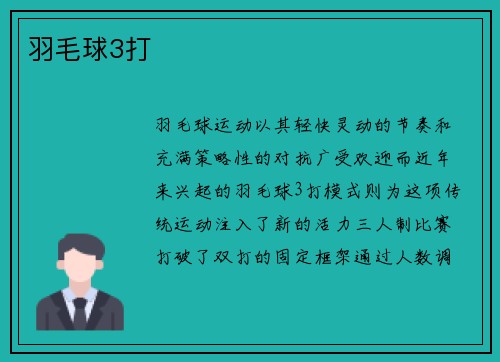 羽毛球3打